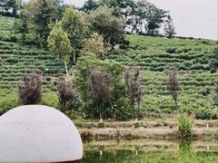-南北湖风景区
