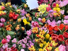 -越秀西湖花市(广州城市广场花卉店)