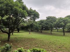 -东莞松山湖凯悦酒店