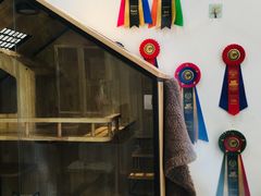-1013 PET SHOP精品宠物商店(丁香店)
