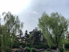 -西安青龙寺遗址景区