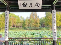 -渤公岛生态公园