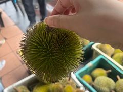 -麦哲伦丝绸度假村