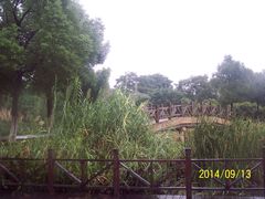 -昆山城市生态森林公园