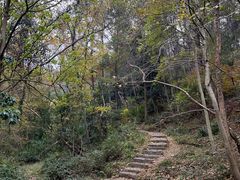-青龙山国家森林公园