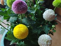 -半秋山西餐厅(巴南万达广场店)