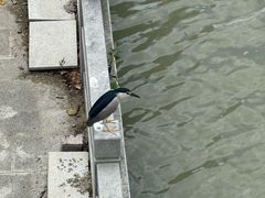 -文虎酱鸭旗舰店(禾兴南路店)