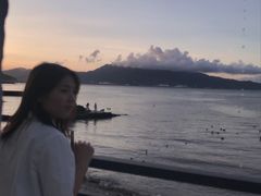 -杨梅坑