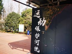-南翔镇银翔湖公园