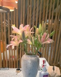 -花隐瑜伽·普拉提·红绳