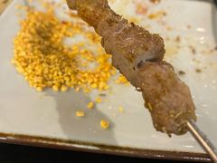 呼伦贝尔羊肉串-很久以前羊肉串(长寿路星方汇店)