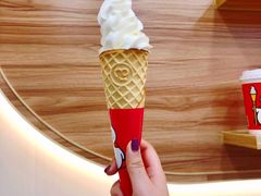 -蜜雪冰城(托乐嘉店)