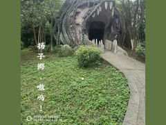 -中国扬子鳄村