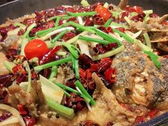 -老板恋上鱼(恒隆广场店)