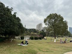 -桃花岭景区