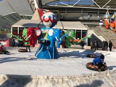 -沈阳奥体冰雪嘉年华