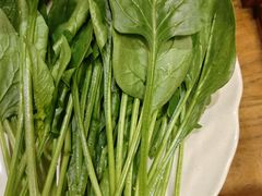 -芦月轩羊蝎子(劲松店)