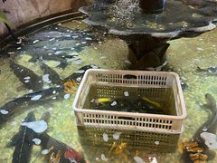 -万里闯关东铁锅炖菜馆(高新旗舰店)