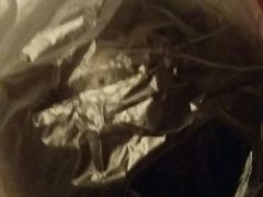 -好利来(道前街店)