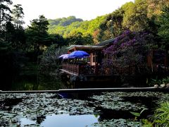-云溪植物园
