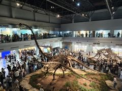 -自贡恐龙博物馆