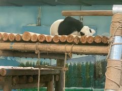 -柳州市动物园