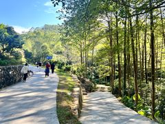 -黄埔油麻山森林公园