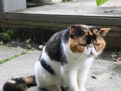 -谷咖啡·鲜花绿植花园餐厅
