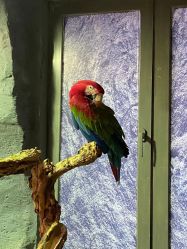 -Zoolung Zoolung动物主题公园(海信广场店)