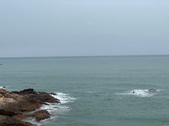 -广东惠东海龟国家级自然保护区