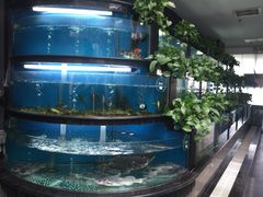 景观位-王家渡火锅店(棕榈泉店)