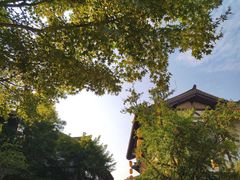 -茅山东方盐湖城景区