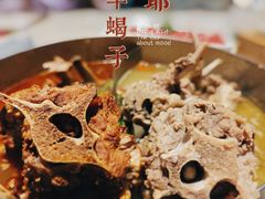 -浩爷羊蝎子火锅(望京店)