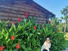 -长春世界雕塑园冰雪艺术天地