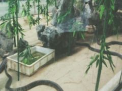 -荔城生鲜盛宴(番禺旗舰店)