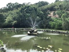 -瑞穗牧场