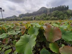 -安龙招堤