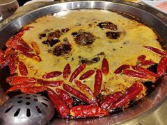 -堂客老火锅(欣阳广场总店)
