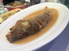 -阿庄新豫菜(航海东路店)