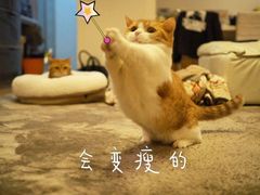 -叶锦州烧烤(宜宾店)