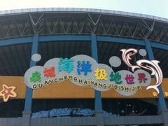 -泉城欧乐堡海洋极地世界