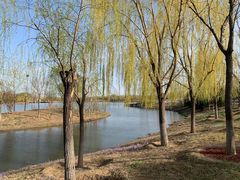 -东郊湿地公园