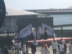 -碧海金沙