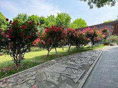 -武汉园博园(武汉自然博物馆)