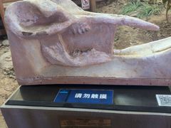 -中国第四纪冰川遗迹陈列馆