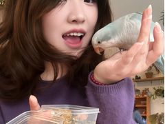 -吉丁鸟咖·异宠·寄养