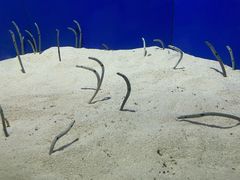 -上海海洋水族馆