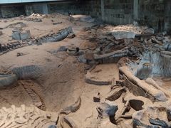 -自贡恐龙博物馆