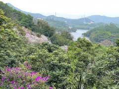 -天鹿湖森林公园