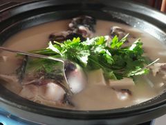 -千岛湖小鱼儿·淳安匠心农家菜